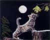 Схема вышивания крестом - Котёнок и луна
