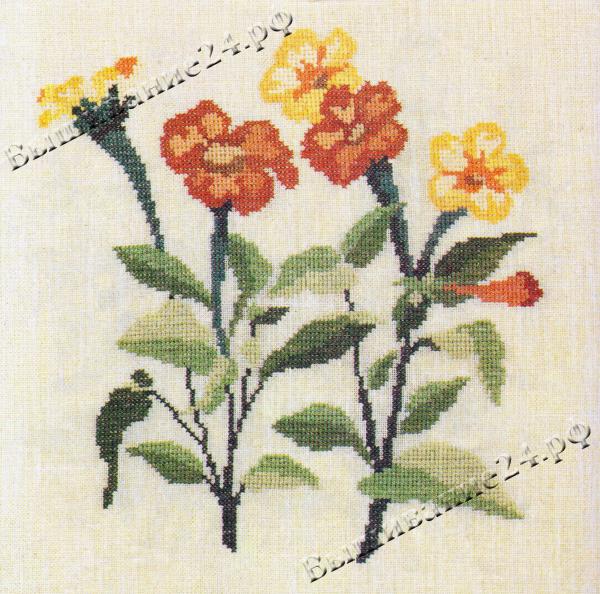 Схема вышивания крестом - Титония, цветы