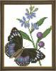 Схема вышивания крестом - Голубая бабочка