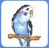Схема вышивания крестом - Голубой попугай