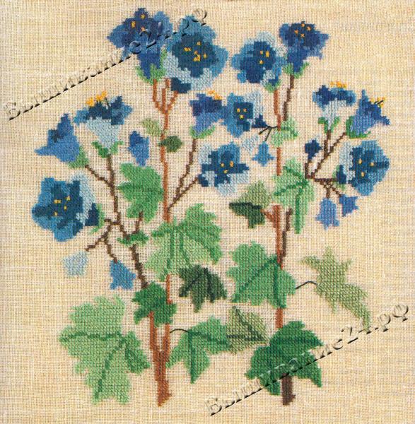 Схема вышивания крестом - Фаселия, цветы