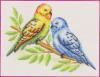 Схема вышивания бисером - Волнистые попугайчики
