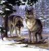 Схема вышивания крестом - Волки в зимнем лесу